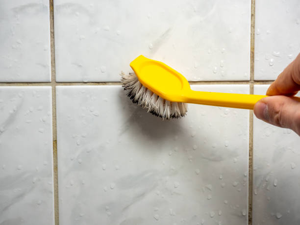 Best Toxic Mold Removal  in Golden Meadow, LA