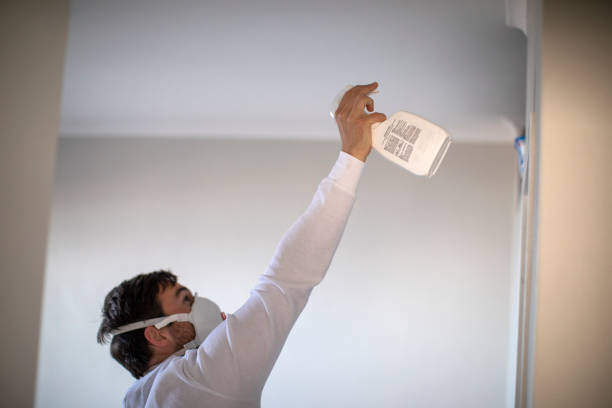 Best Office Mold Removal Services  in Golden Meadow, LA