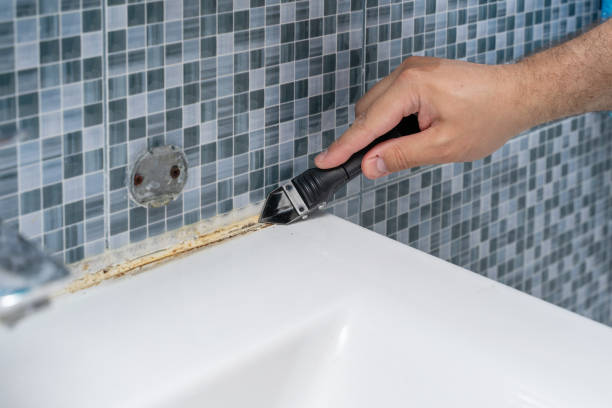 Best Fast Mold Removal  in Golden Meadow, LA